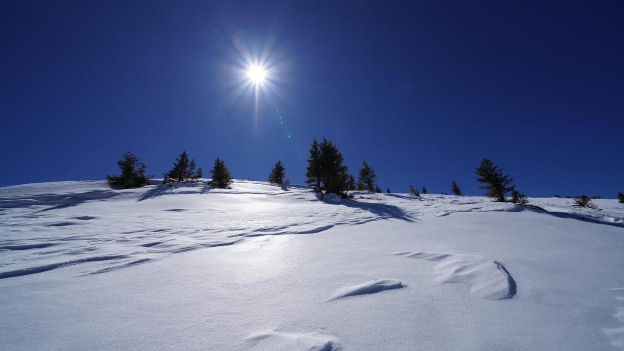 Вилла Kuhglueck Koralpe Elsenbrunn Экстерьер фото