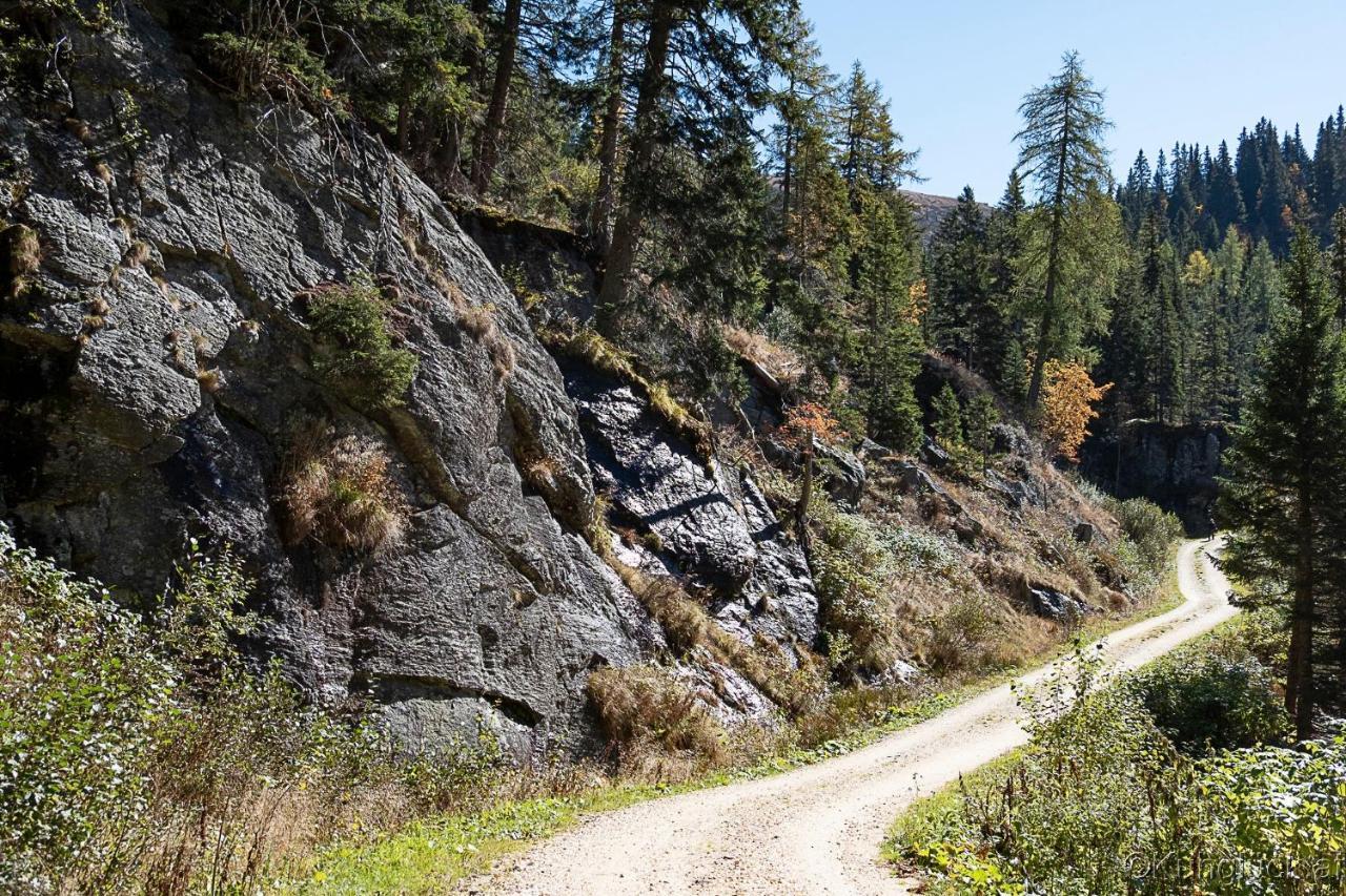 Вилла Kuhglueck Koralpe Elsenbrunn Экстерьер фото