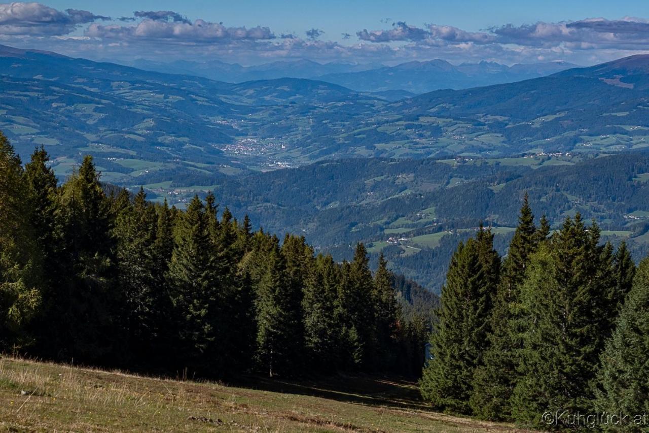 Вилла Kuhglueck Koralpe Elsenbrunn Экстерьер фото